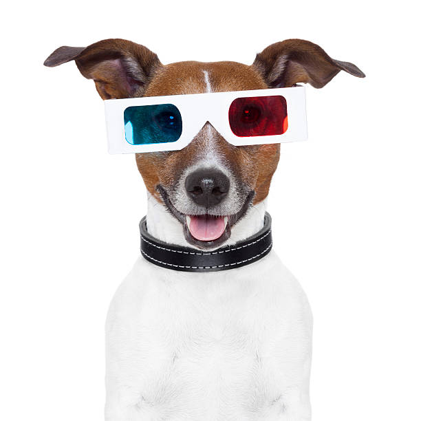 istock 3d  glasses movie cinema dog 155481457