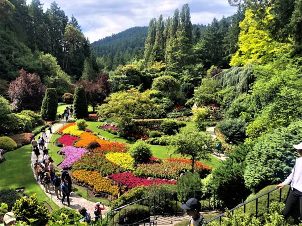 istock Flowers of Butchart Garden 1554833921