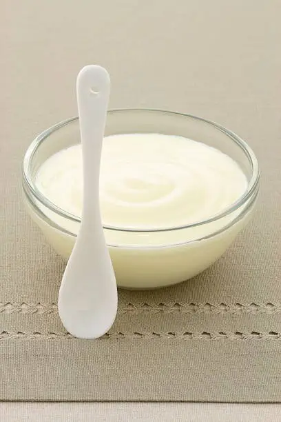 fresh delicious sour cream a traditional ingredient in France,Russia, Eastern European, German cooking and mexican cuisine.
