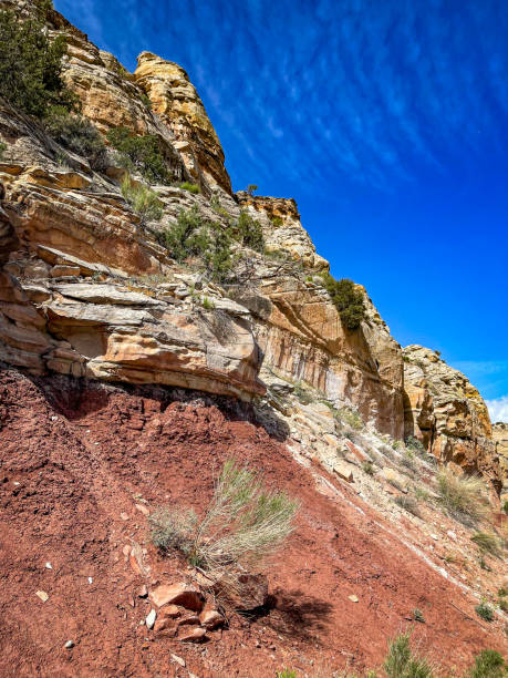 istock Dramatic landscape in Escalate area of Utah 1554875936