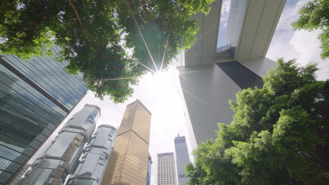 Skycraper of corporate buildings with trees in Hong Kong city