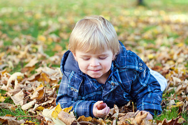 istock Little toddler boy in autumn park 155492747