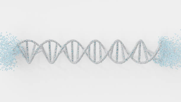 DNA molecule from particles on white background. Science laboratory or cosmetics industry concept. Element animation.