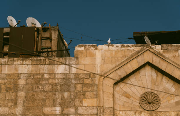 istock Architectures in Khan al-khalili market in Cairo,Egypt 1555035391