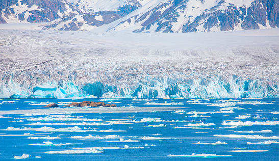 Yale Glacier in College Fjord in Prince William Sound. Chugach National Forest; Family; Nellie Juan-College Fiord Wilderness Study Area; Northern Coastal Temperate Rainforest; Prince William Sound; Summer.