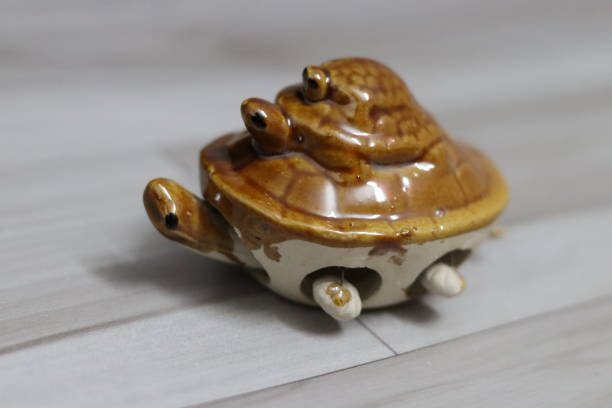 istock side shot Vastu Three Turtle a Feng sui item on plank 1555086278