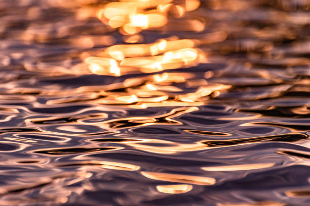 istock The surface of a mountain river at sunset 1555094185