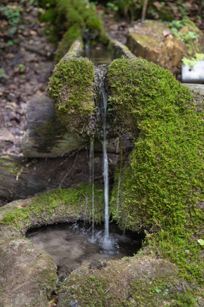 natural water jet in nature
