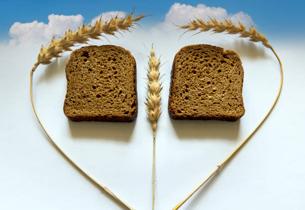 Ears of beardless wheat with black bits of bread, all is on white background and cumulous clouds