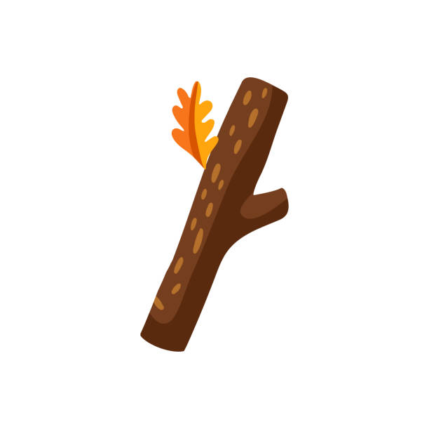 illustrations, cliparts, dessins animés et icônes de signe de ponctuation abc signe d’automne branche d’arbre de polices - stick wood sign twig