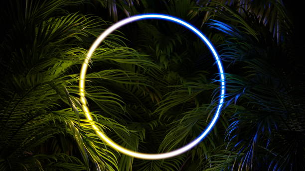 istock Tropical foliage at night in the jungle, neon glow, circle ring leaves. 3d render 1555162062