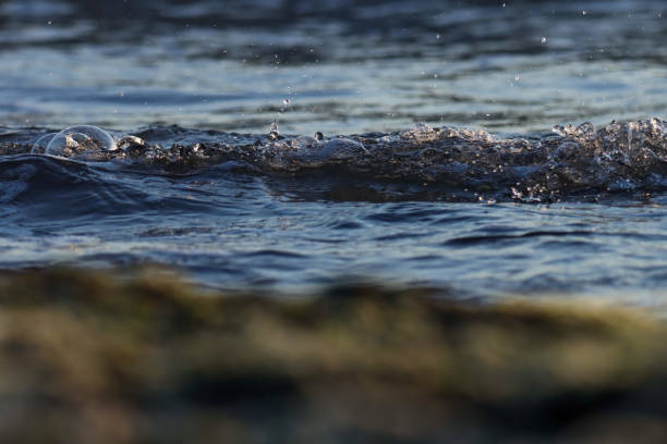 istock Ocean wave splashing on the beach. Sea wave. 1555216282
