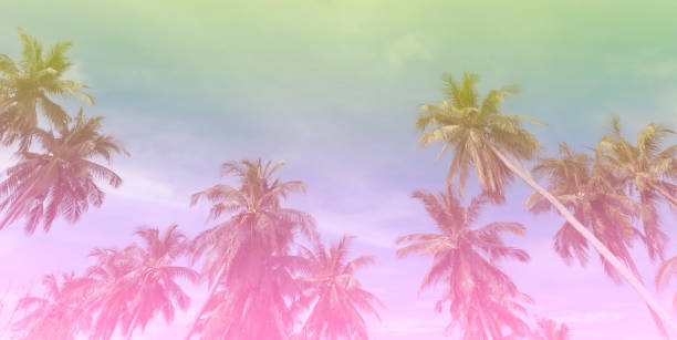 istock Summer with colorful theme as palm trees background as texture frame background 1555224942