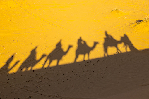 Shadow silhouette of camel train on sand dunes in the desert, Merzouga, Erg Chebbi sand dunes region, Sahara, Morocco.