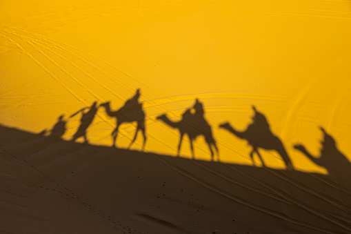 Shadow silhouette of camel train on sand dunes in the desert, Merzouga, Erg Chebbi sand dunes region, Sahara, Morocco.