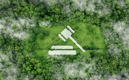 icon gavel on the nature background in The concept of business corporate and industry. law world for environmental regulation.sustainable environment concept