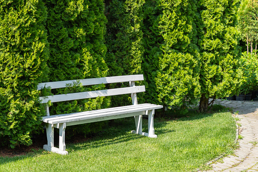 Scenic view of a peaceful green garden. White bench in garden or in the park.