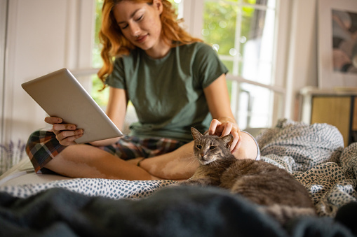 Young Caucasian woman using a tablet and petting her cat in the bedroom at home