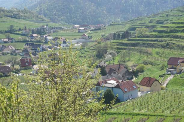istock Melk valley with houses in the hill 1555320176