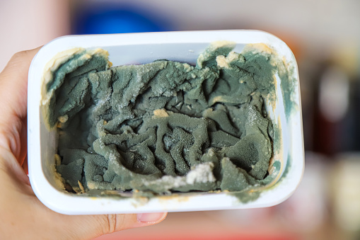 Closeup of rotten food. Green mold growing on processed cheese in plastic container in human hand. Food waste concept