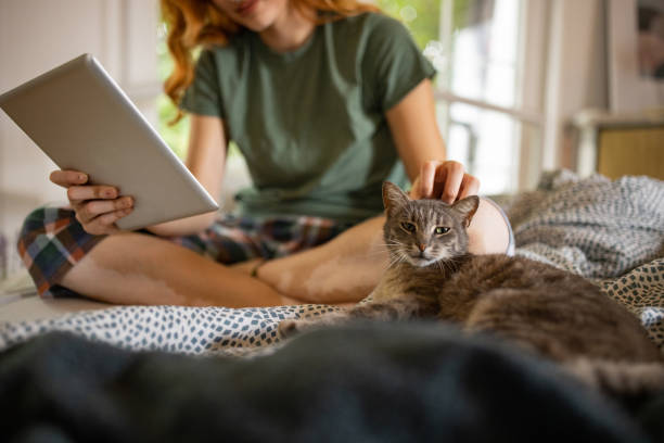istock Young woman using a tablet and petting her cat at home 1555325245