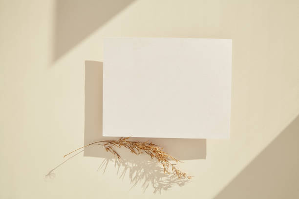 istock Minimalistic stationery card mock up. Aesthetic layout under sunny shadows. Invitation, greeting, wish list, Mothers Day concept. Concept of new life, zero waste, sustainable, eco-friendly . 1555329587