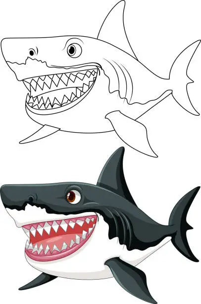 Vector illustration of A cartoon illustration of a great white shark with big teeth, swimming and outlined in vector art