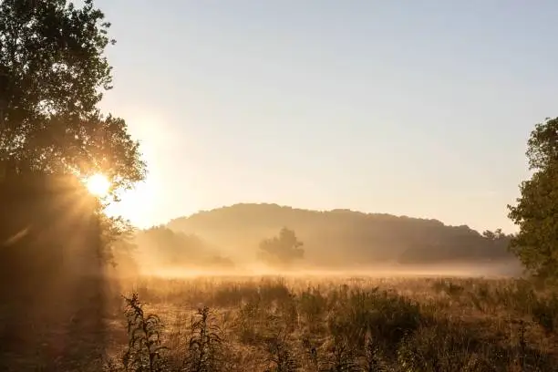 A landscape of a meadow during the sunrise in Lewisburg