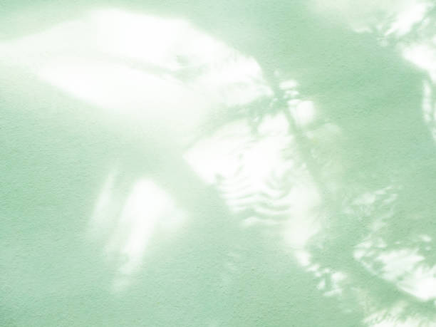 istock Green Shadow Product Background, 3d Abstract Light Leaf on Wall Podium Minimal for Presentation, Overlay Sunlight Leaves Nature Plant on blur Texture Cement Marble Floor, Backdrop Summer Tropic 1555351003