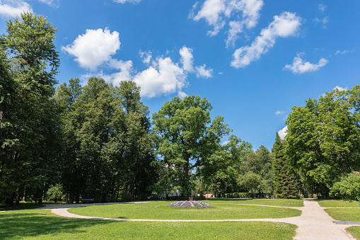 Beautiful summer park with blue sky and white clouds on a sunny day