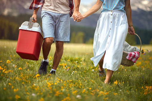 detail of young adult caucasian couple holding hands, walking in nature, carrying basket and a mobile fridge, going to picnic
