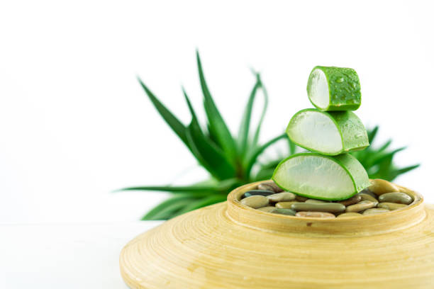 bodegón compuesto por hojas seccionadas de aloe vera colocadas verticalmente una pieza tras otra sobre piedras y un cuenco de madera con un fondo de planta de aloe en un estilo zen - sectioned fotografías e imágenes de stock