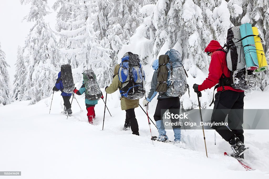 팀 길에 등산객의 겨울 산맥 - 로열티 프리 눈신 스톡 사진