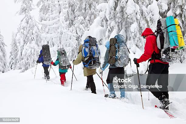 팀 길에 등산객의 겨울 산맥 눈신에 대한 스톡 사진 및 기타 이미지 - 눈신, 스노우슈잉, 눈-냉동상태의 물