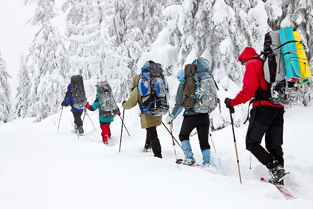 istock team of hikers in winter mountains 155541409