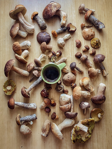Nature's Harmony. A delightful vertical flat lay capturing the rustic charm of forest mushrooms and a green coffee mug on a light wooden table. Savoring the tranquility of the woods one sip at a time.