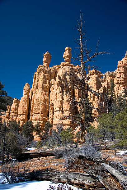 istock Red Rock Canyon Hoodoos 155544392
