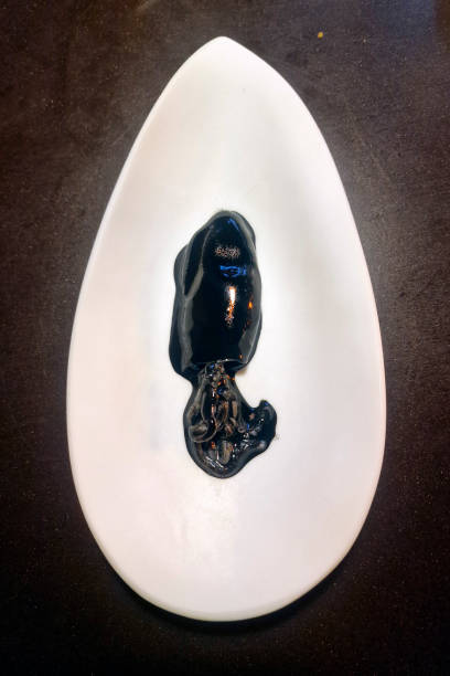 squid black ink gourmet plate, top view