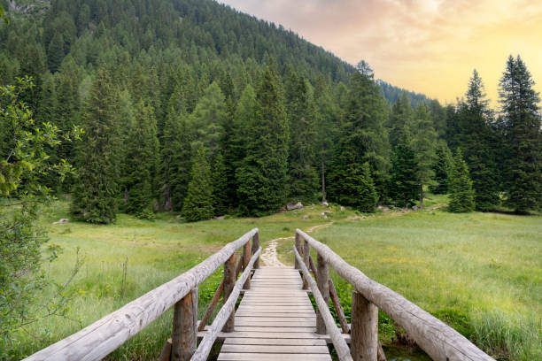 istock path that crosses a bridge towards a forest in Trentino 1555460437