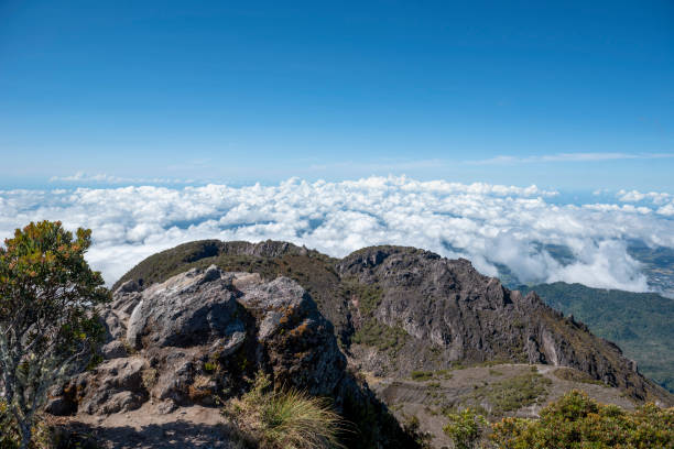 바루 화산 정상 회담 volcan baru ) 파나마 - 스톡 사진 - baru 뉴스 사진 이미지