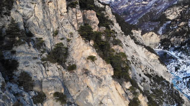 Rocky sheer wall with juniper and coniferous trees high in the mountains. Aerial view of reserved vegetation high in the mountains