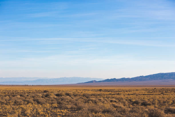 istock Kazakhstan steppe landscape. Dry grass and mountains 1555540269