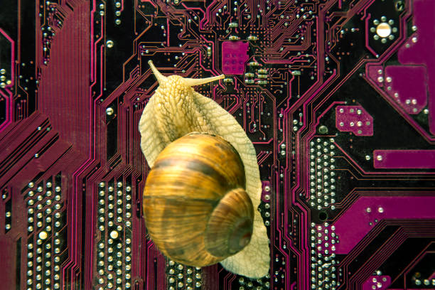 istock snail crawls on a computer electronic circuit board. The concept of a slow computer. 1555561528