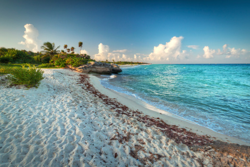 Idílica Playa del mar Caribe en Playa del Carmen photo