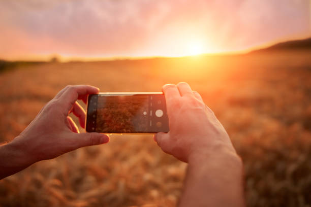 istock Man using cellphone in a wheat field. Shallow focus. 1555575595