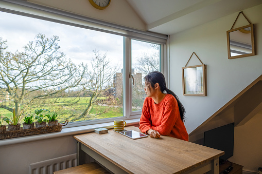 An adult Chinese woman is sitting at a table beside a large window in an attic flat. It is spring and she is looking at the budding branches of a  tree, and beyond is a green open space and a block of flats. She has a cup and a digital tablet on the table. She is wearing red knitwear.