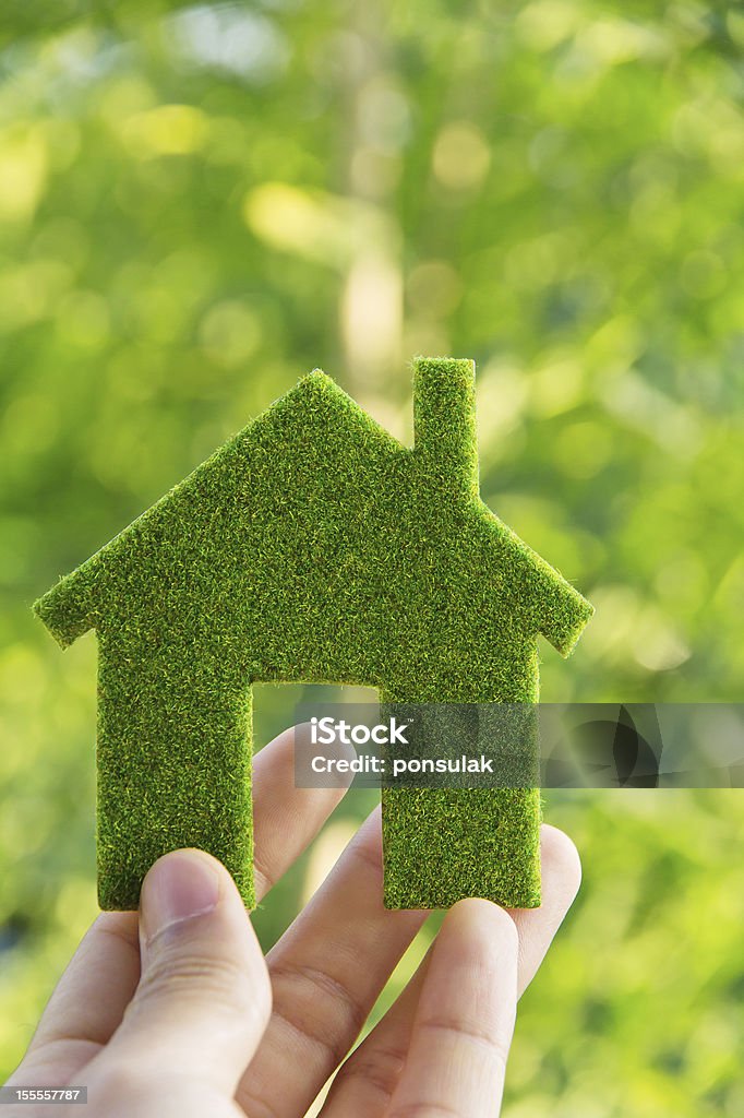 Hand holding small green eco house icon hand holding eco house icon concept Abstract Stock Photo