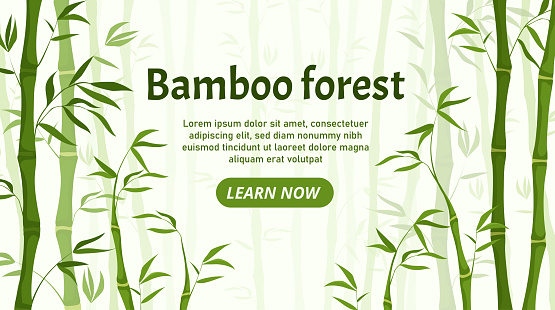 Bamboo forest landing page. Traditional Asian flora, plants. Culture and traditions. Natural panorama and landscape. Poster or banner for website. Cartoon flat vector illustration