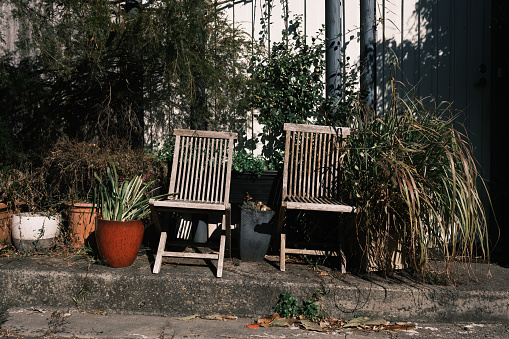 Two old wooden chairs amongst plants on the side of a road on a sunny day.