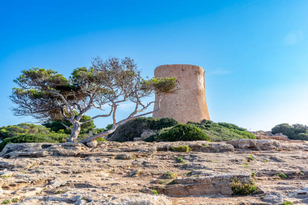 Spain Majorca island, beautiful beach bay Cala Pi, Mediterranean Sea, Balearic Islands